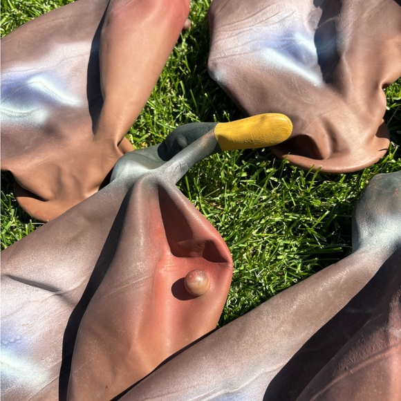 Vintage Duck Hunting Decoys Set - Picture 6 of 10